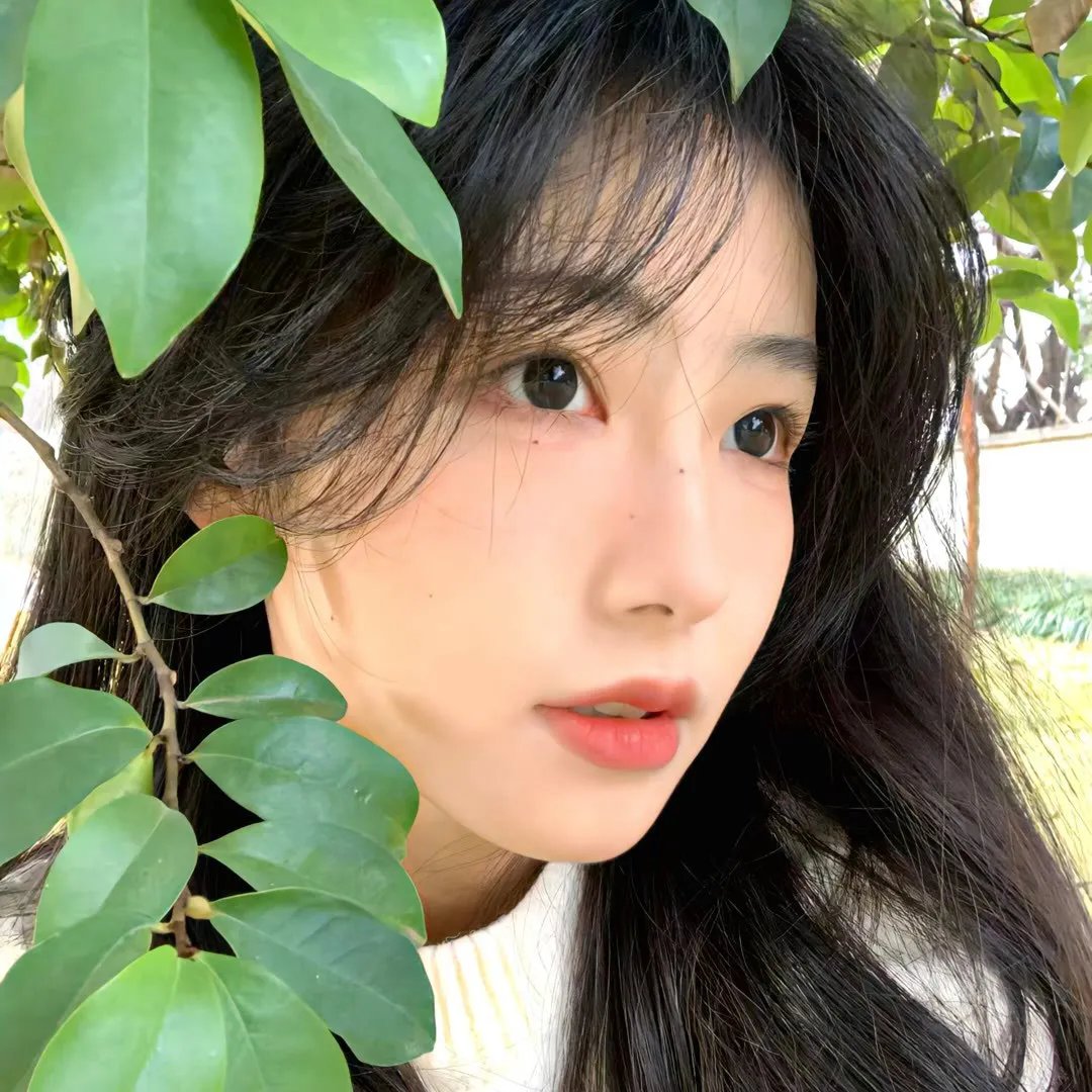 主妇之谜
